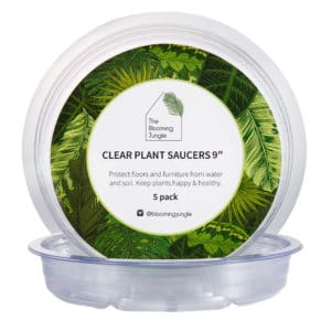 5 Pack of 9 Inch The Blooming Jungle Plant Saucer